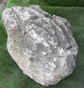 Moss Bubble Rock - 155